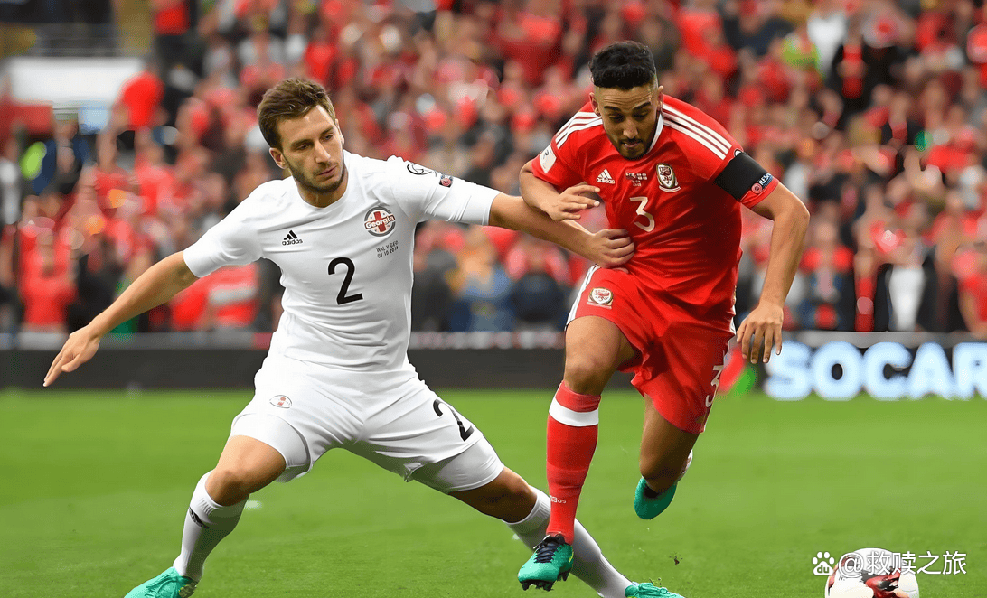 开云体育官网-欧国联:爱尔兰队备战备受关注,球员状态出色的简单介绍