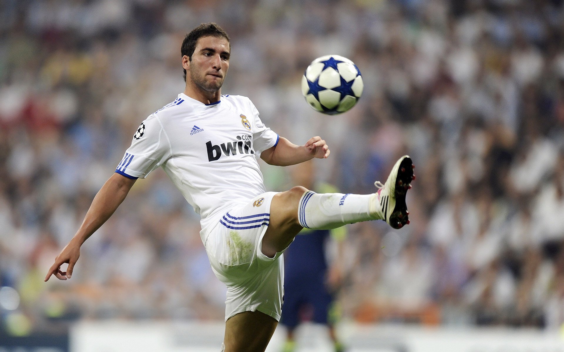 雷恩风暴席卷北非，托尼·特雷索尔的战术革命如何冲垮阿尔及利亚防线